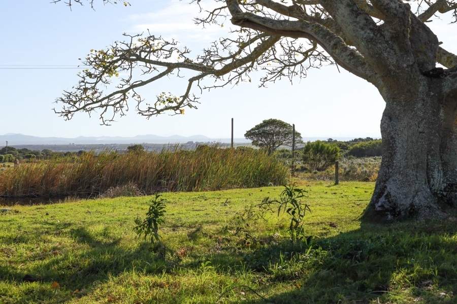 0 Bedroom Property for Sale in Kromme River Estate Eastern Cape
